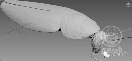 3D打印蟑螂小強(qiáng)誕生記(超精細(xì)) 妹紙膽小也可入
3D打印蟑螂,3D打印小強(qiáng),3D打印技術(shù),3D打印服務(wù),3D打印平臺,e鍵打印