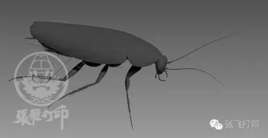3D打印蟑螂小強(qiáng)誕生記(超精細(xì)) 妹紙膽小也可入
3D打印蟑螂,3D打印小強(qiáng),3D打印技術(shù),3D打印服務(wù),3D打印平臺,e鍵打印