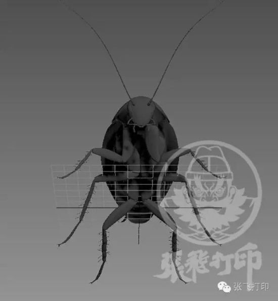 3D打印蟑螂小強(qiáng)誕生記(超精細(xì)) 妹紙膽小也可入
3D打印蟑螂,3D打印小強(qiáng),3D打印技術(shù),3D打印服務(wù),3D打印平臺,e鍵打印