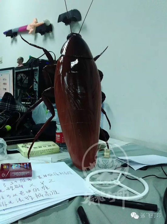 3D打印蟑螂小強(qiáng)誕生記(超精細(xì)) 妹紙膽小也可入
3D打印蟑螂,3D打印小強(qiáng),3D打印技術(shù),3D打印服務(wù),3D打印平臺,e鍵打印