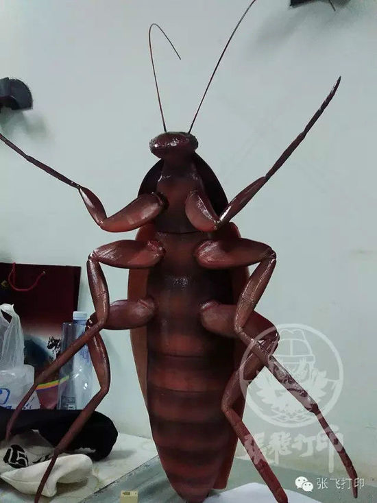 3D打印蟑螂小強(qiáng)誕生記(超精細(xì)) 妹紙膽小也可入
3D打印蟑螂,3D打印小強(qiáng),3D打印技術(shù),3D打印服務(wù),3D打印平臺,e鍵打印